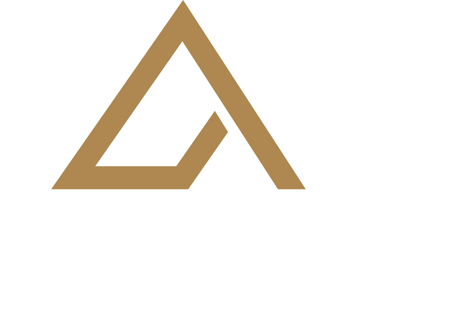 Aspire Roofing Co.